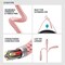 Overtime Lightning Charger Set of 3, 10ft iPhone Charger Cable, Apple MFi Certified, Rose Gold OTDCIP10BRGX3 - alternate 8
